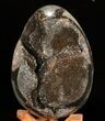 Septarian Dragon Egg Geode - Black Crystals #57458-1